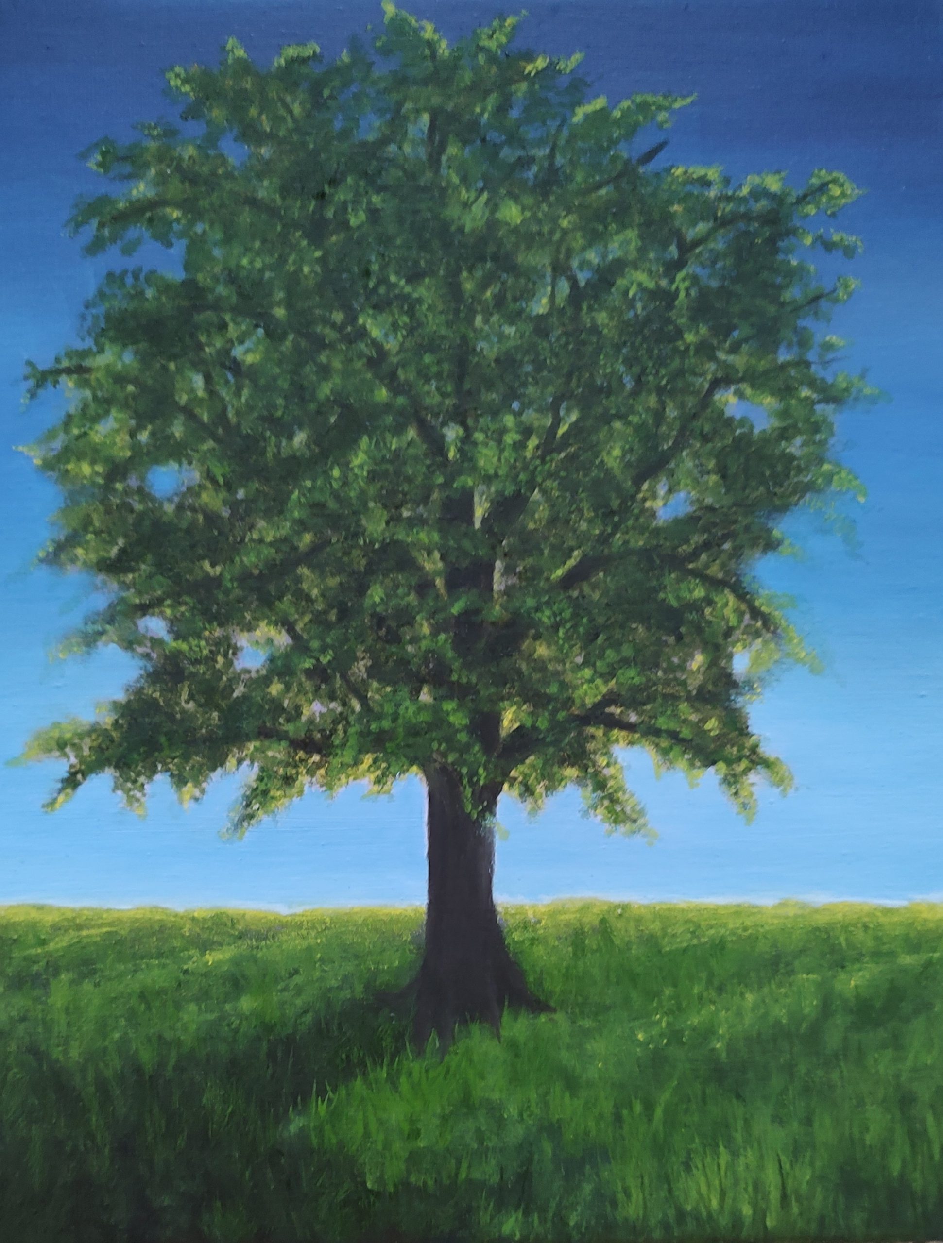Painting Nature in Culpeper, Virginia