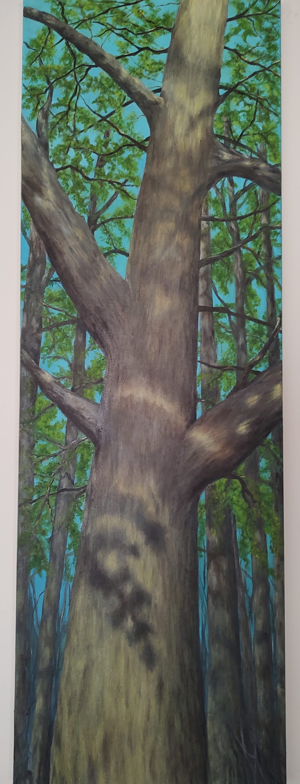 Being There — shadows of branches on tall tree trunk opening to blue sky, original oil painting on canvas by Alessandra Cortese De Bosis, Culpeper Virginia