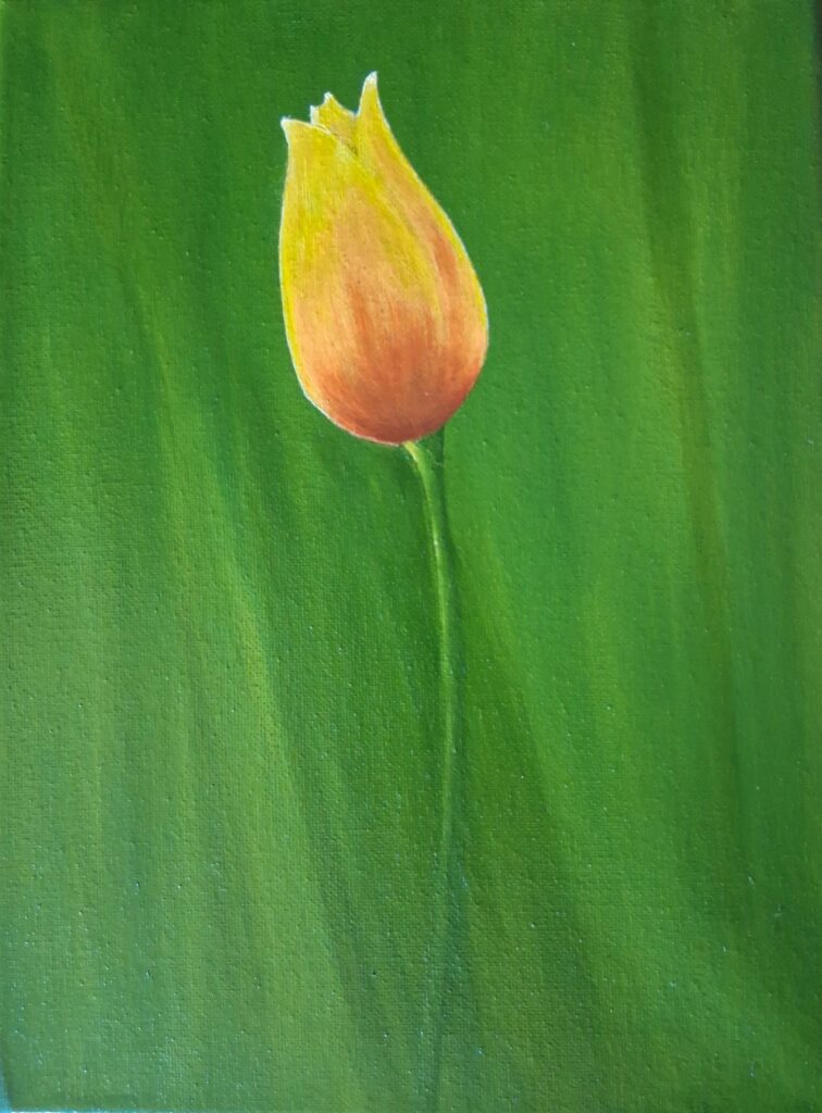 Yellow Tulip — single yellow tulip against soft green field, original oil painting on canvas by Alessandra Cortese De Bosis, Culpeper Virginia