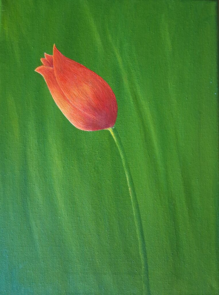 Orange Tulip — warm orange tulip against muted green background, original oil painting on canvas by Alessandra Cortese De Bosis, Culpeper Virginia